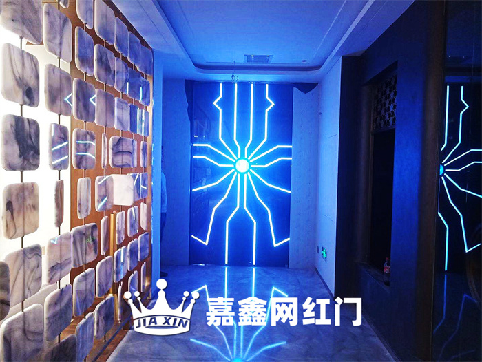 抖音網紅門夢幻科技門電動門